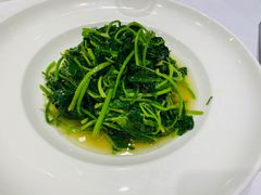 -梅林春晓花园餐厅