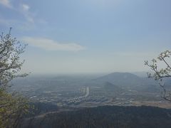 -府君山公园