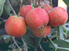 -南通洲际绿博园