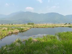 -腾冲北海湿地