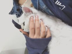 -丫丫NAIL日式自助美甲美睫沙龙