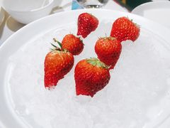 -四季民福烤鸭店(望京南湖东园店)