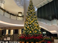 -香港九龙海逸君绰酒店