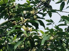 -悦哉·派对·草坪婚礼·围炉煮茶(三圣乡店)