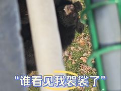 -合肥野生动物园