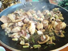 -食德喜·阳山鸡王食研基地