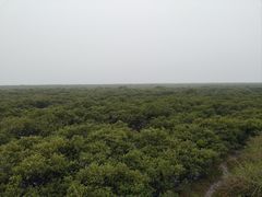 -北海金海湾红树林生态旅游区