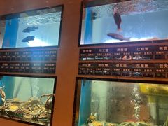 -阳光码头海鲜火锅(玉立路店)