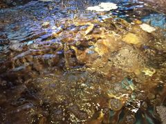 -蟹之国·精品蟹料理(极地店)