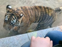 -西安秦岭野生动物园