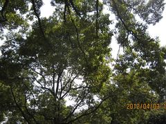 -上海市龙华烈士陵园