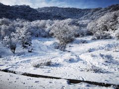 -太子岭滑雪场