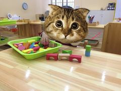 -瑞恩宝感统训练·语言提升·蒙氏托育中心