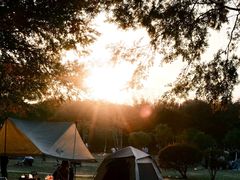 -艾溪湖湿地公园