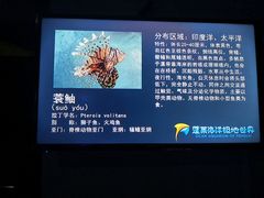 -蓬莱欧乐堡海洋极地世界