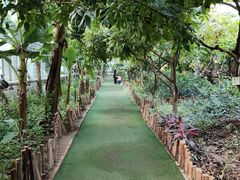 -呀路古热带植物园