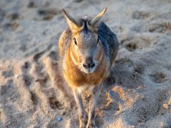 -茅山东方盐湖城景区