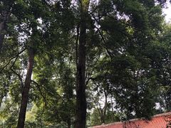 -都江堰普照寺