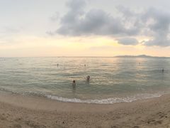 -卷心菜和避孕套餐厅(Pattaya)