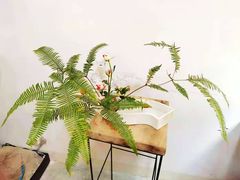 -今日陶艺(富力广场店)