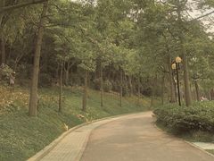 -云溪植物园