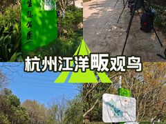 -西湖风景区-江洋畈生态公园
