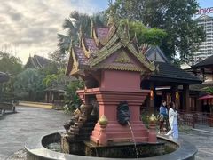 -西双版纳原始森林公园