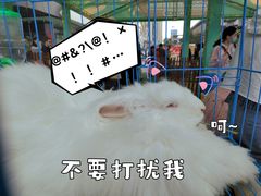 -万达广场(巴南店)
