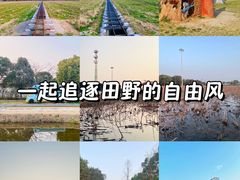 -嘉北郊野公园