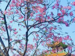 -宝墨园景区