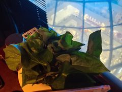 红薯苗-东来顺·非遗火锅(赛格国际购物中心店)