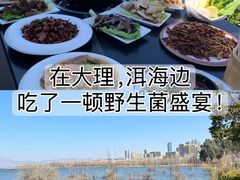 -野菌皇海景野生菌火锅(滨海大道店)