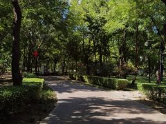 -古塔公园