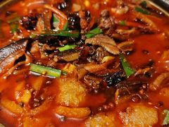 -福照楼汽锅鸡·云南菜(万达广场店)