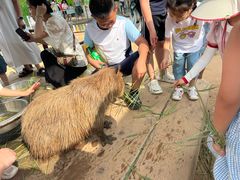 -西霞口神雕山野生动物世界