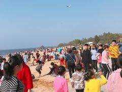-瑶湖郊野森林公园
