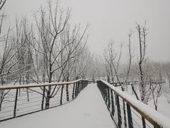 -东郊湿地公园