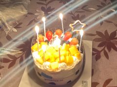 -维尔纳斯·生日蛋糕·动物奶油冰淇淋蛋糕(雨花店)