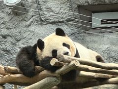 -石排湾郊野公园