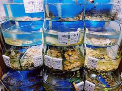-海之味海鲜大咖·家常菜