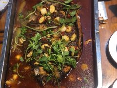 -沈胖子音乐烤吧·炒菜·龙虾(环城东路店)