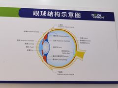 -宝岛眼镜