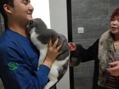 -美联众合宠物医院·爱萌分院·内外科·猫科中心
