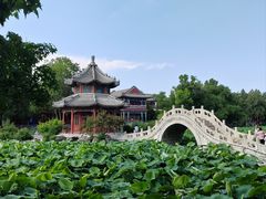 -莲池书院博物馆
