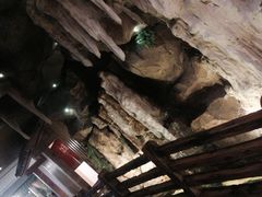 -御池园(顾村公园店)
