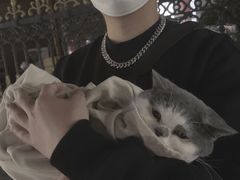 -BABYDOG宝贝狗宠物乐园(欧洲城店)