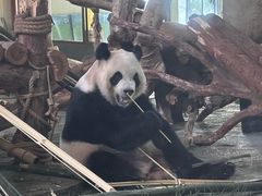 -泉州海丝野生动物世界