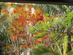 -白云中餐厅·粤菜·亚龙湾喜来登度假酒店