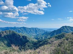 -大岭沟猕猴桃谷风景区