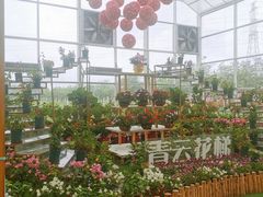 -盈香心动乐园
